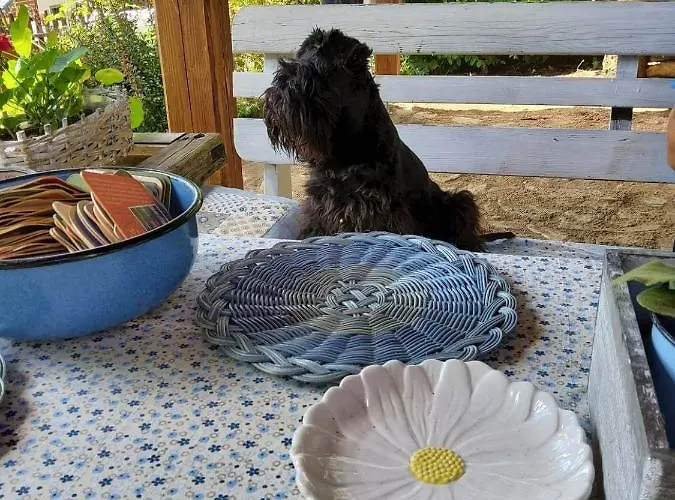 Pod Lysou - Apartma 4rooms Chalet Rokytnice nad Jizerou